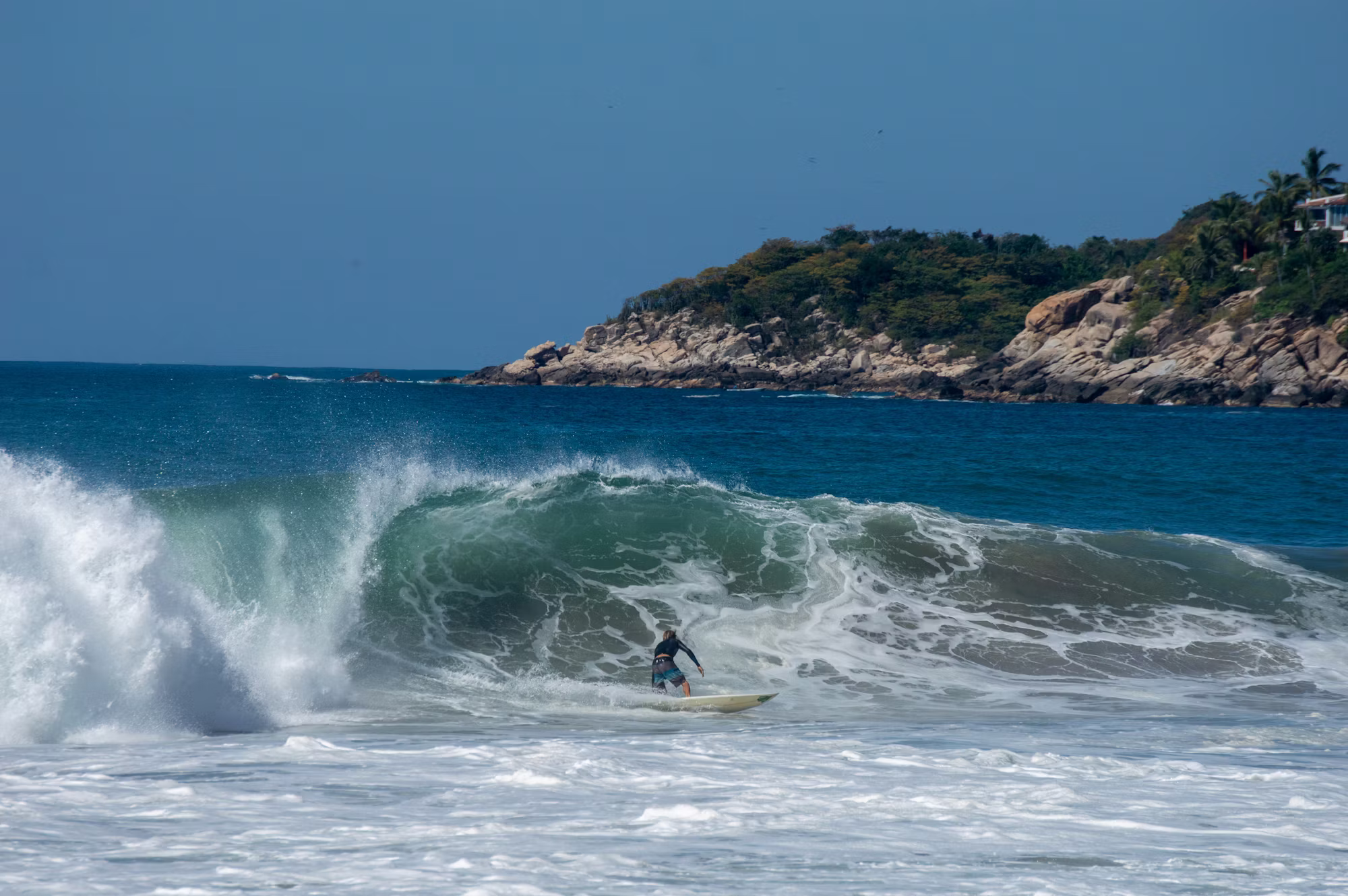 Exploring the Surf: A Journey Through Different Surfing Disciplines