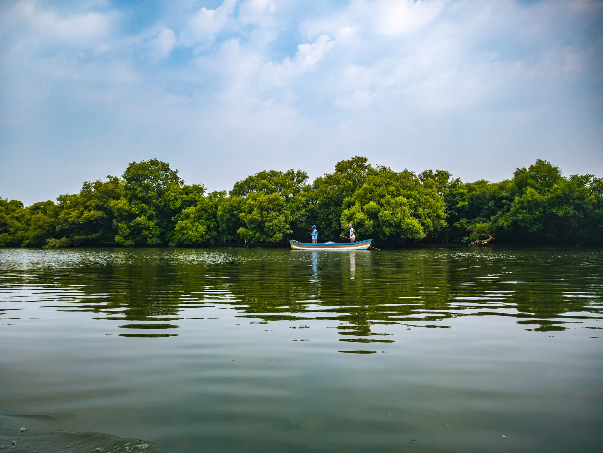 Exploring the World of Culinary Herbs: A Guide to Flavor and Health